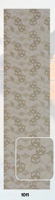 1011 image 1