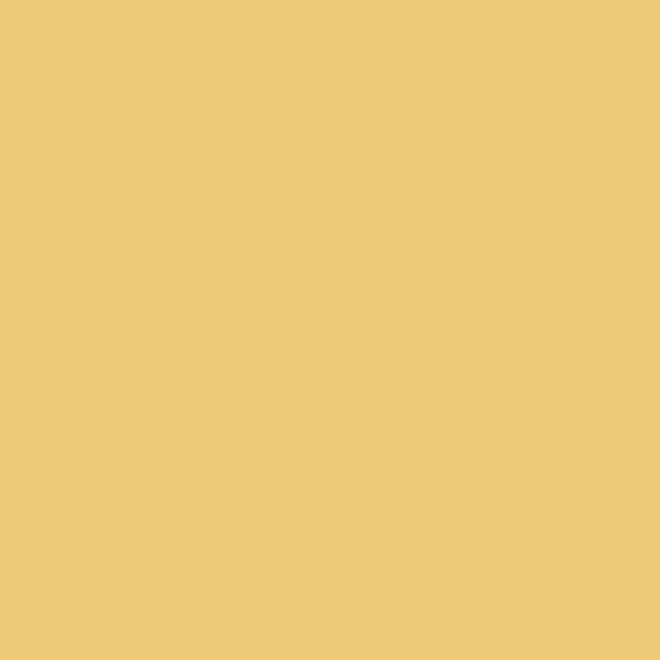 KAG ||SOLID JESALMER||24X24 image 1