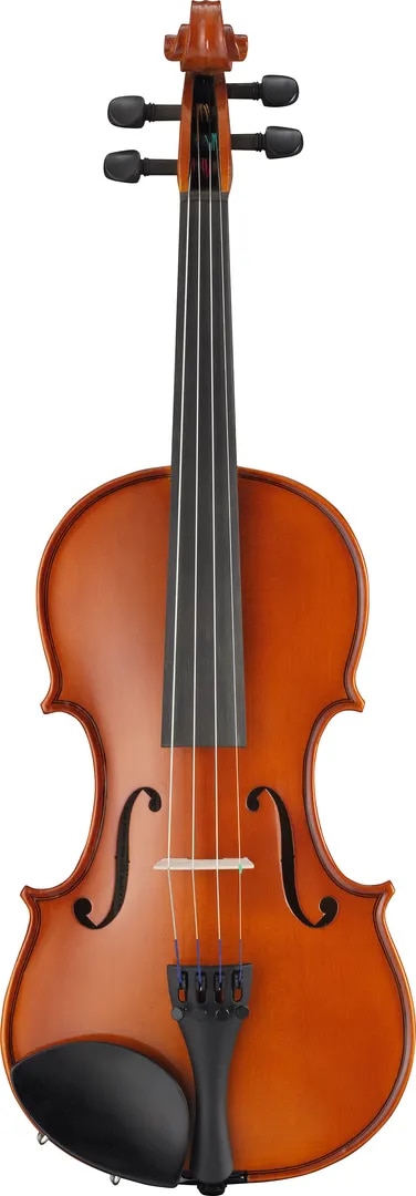 V3SKA ACOUSTIC VIOLIN image 1