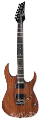 Ibanez Electric Guitar RG series Standard RG421-MOL image 1