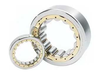 Cylindrical Bearing type NF image 1