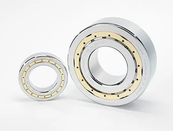 Cylindrical Bearing type NP image 1