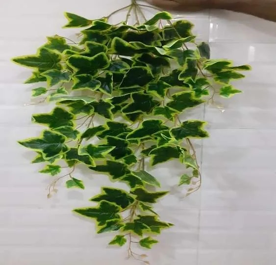 Artificial creepers for Ceiling image 1