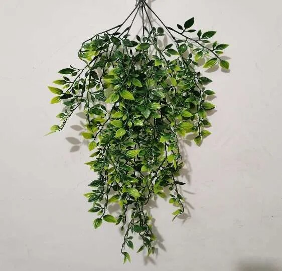 Artificial Creepers Outdoor Walls & Ceiling image 1