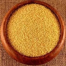 Foxtail Millet image 1