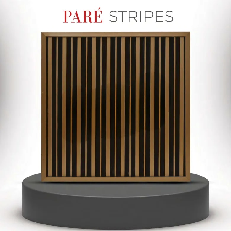Louver PVC Panel | Rame Dual Black Stripes Wall Panels | Modern Accent Wall Design image 1