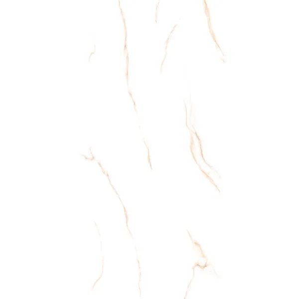 KAG||VIPER IVORY||48x24 image 1