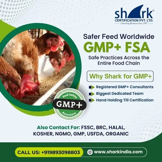 GMP+ Certification image 1