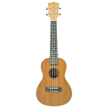 UK 100C 24 inch Arched Back Concert Ukulele With Gig-Bag - Natural image 1