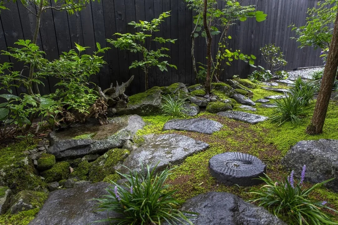 Expert Landscaping & Garden Maintenance Services in Chennai – Professional Lawn Care & Design image 1