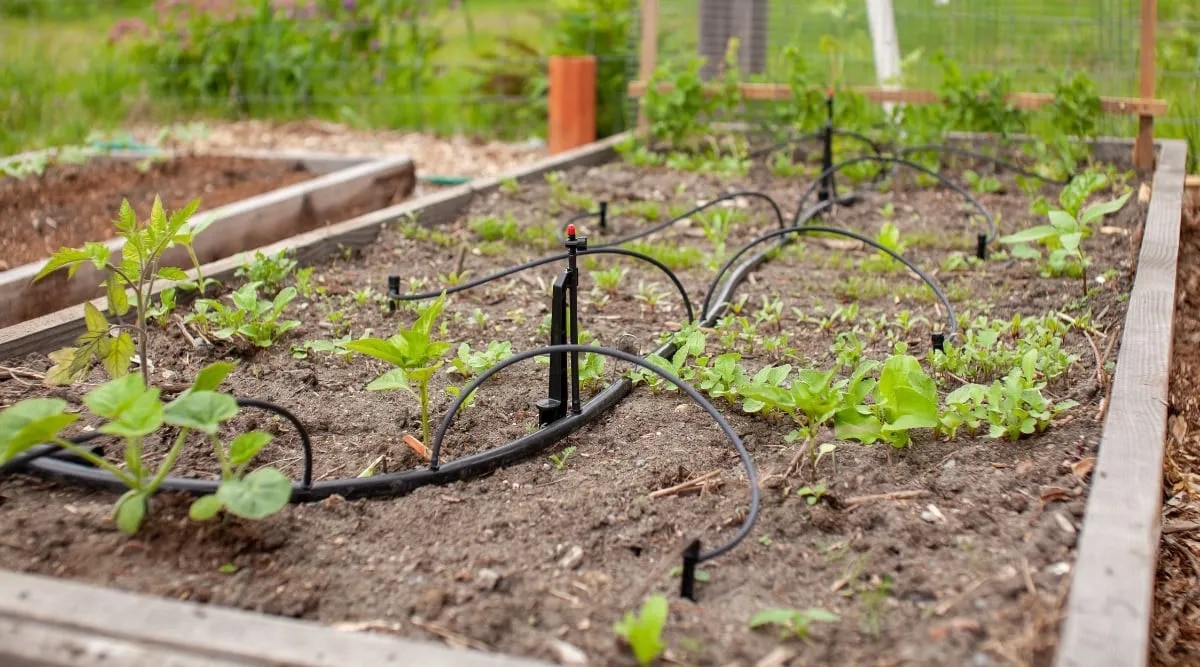 Automated Garden Irrigation System Installation – Smart Watering Solutions Chennai image 1