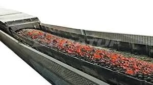 Heat Resistant Conveyor Belt image 1