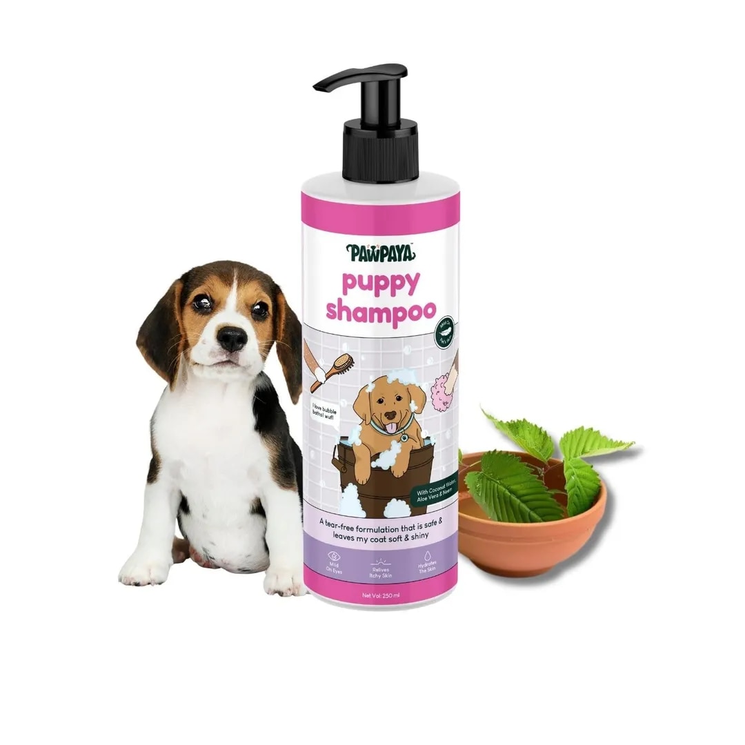 Pawpaya Puppy Shampoo for Dogs 250ML image 1