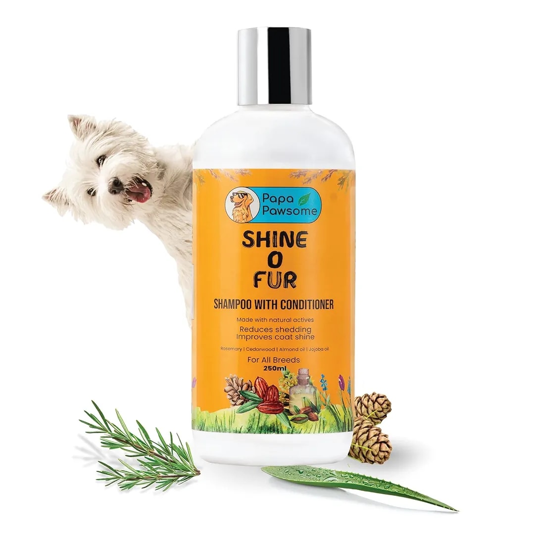 Papa Pawsome Shine or Fur Shampoo With Conditioner For Dogs 250ML image 1