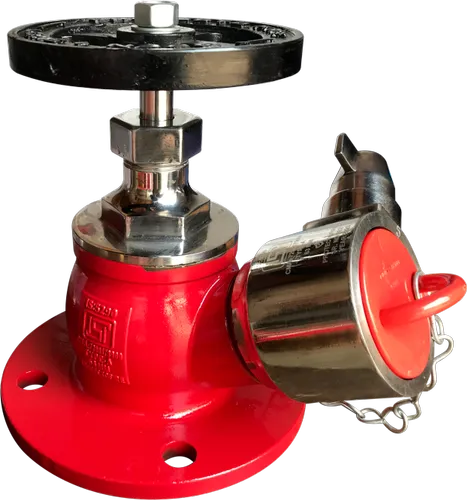 S.S ISI Single Hydrant Valve image 1