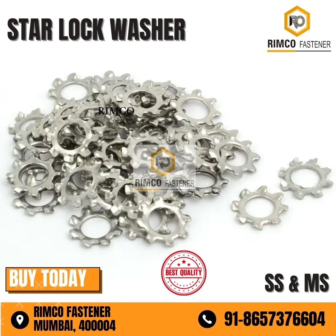 Stainless Steel Star Lock Washer image 1