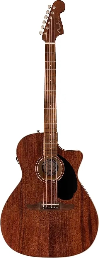 Newporter Special, Pau Ferro Fingerboard, Black Pickguard, Natural image 1