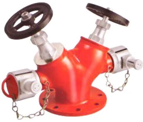 S.S ISI Double Hydrant Valve image 1