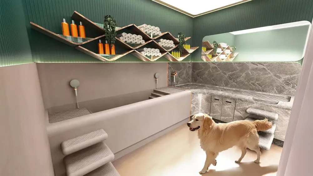 Pet Clinic & Pet Spa Interior Design in Chennai – Comfort-Driven Spaces for Pets & Owners image 1
