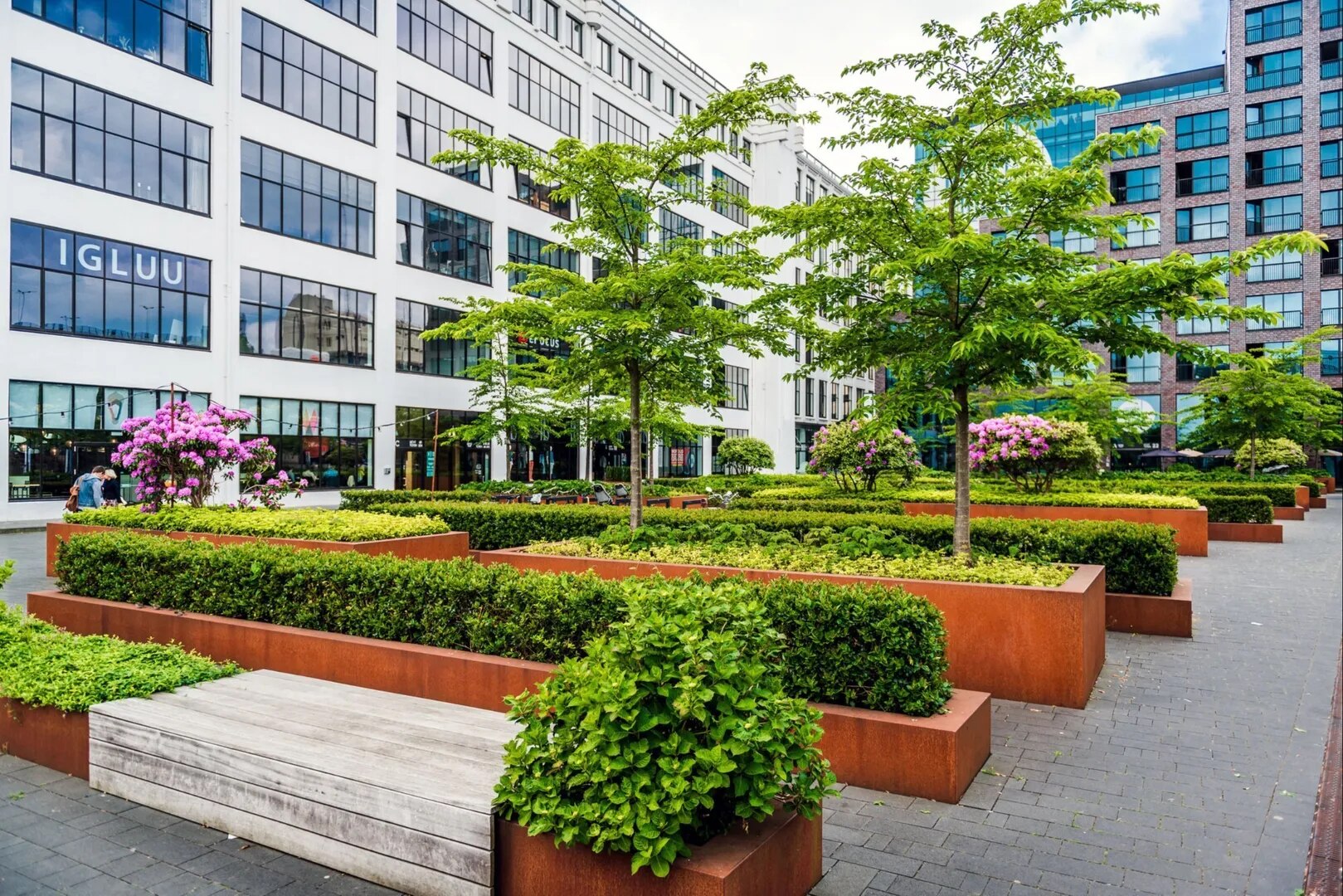 Commercial Landscape Design Services – First Impressions That Last image 1