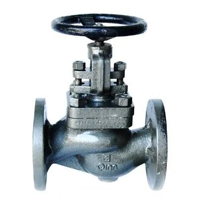 Q-205 S – Qinn CAST IRON GLOBE STEAM STOP CUM NRV image 1