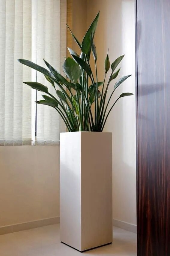 Planter BOx image 1