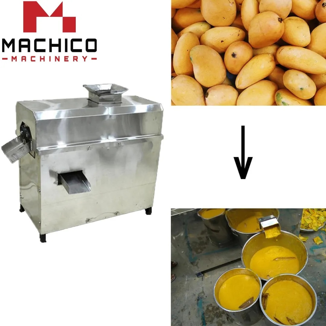 MANGO PULP MACHINE image 1