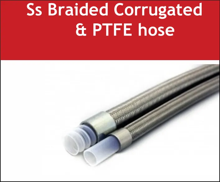 SS Braided Corrugated & PTFE Hose image 1