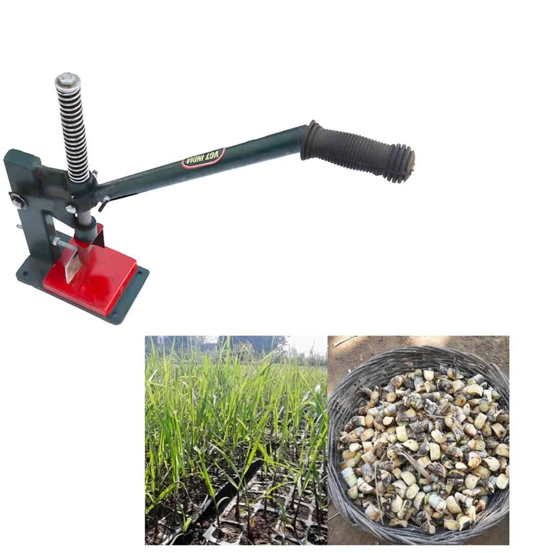 Sugarcane Bud Chipper image 1