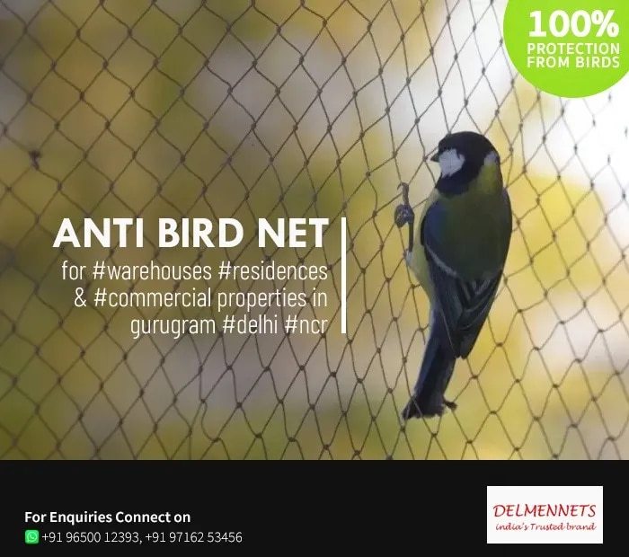 Anti Bird Net image 1