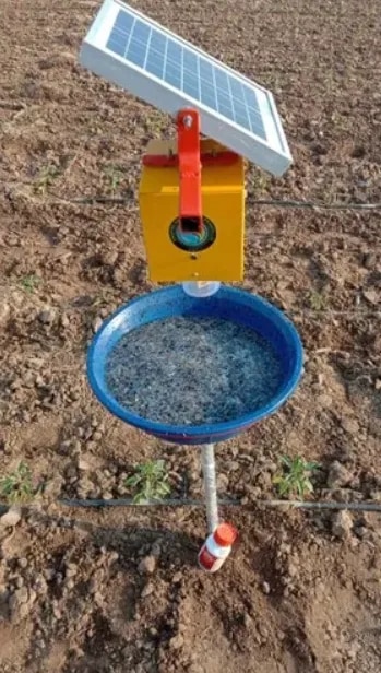 Solar Insect Light Trapper image 1