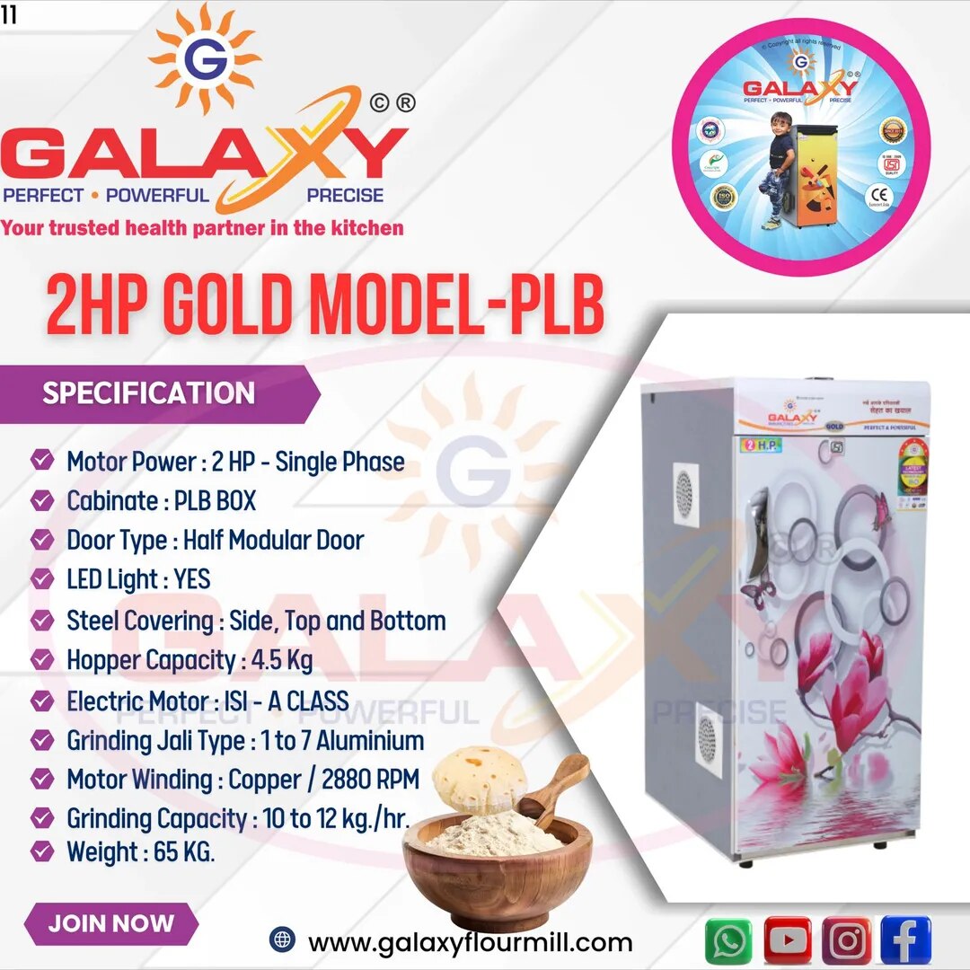 2HP Gold Model - PLB image 1