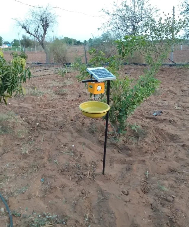 Solar Light Insect Trap image 1