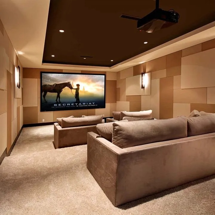 DIY vs Professional Acoustic Home Theatre Setup image 1