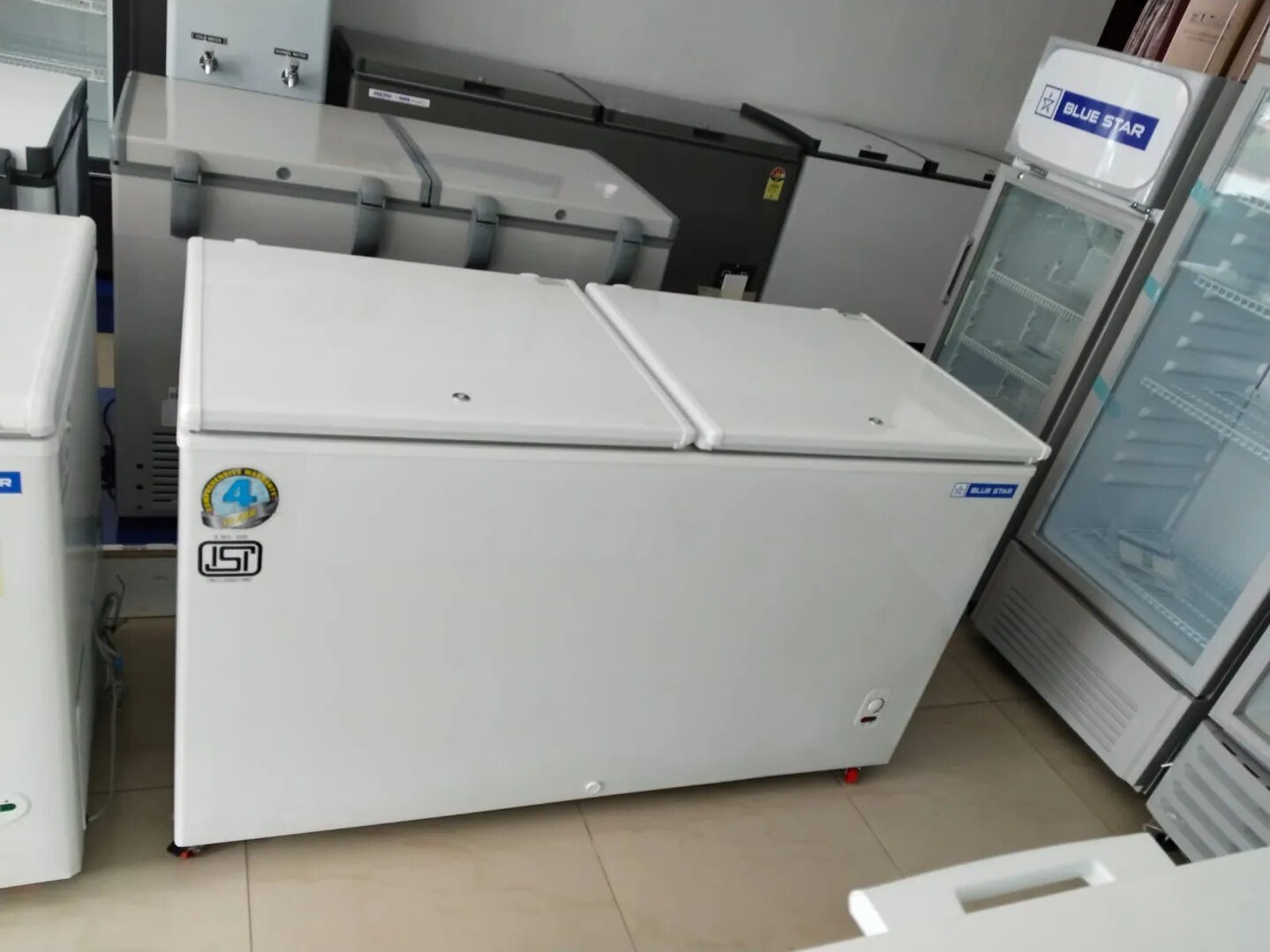 Blue Star Deep Freezer CF3-300MEW image 1
