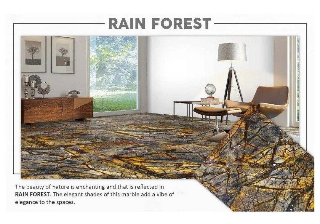 Rain Forest image 1