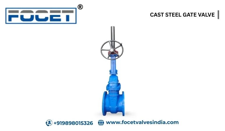 CAST STEEL GATE VALVE image 1