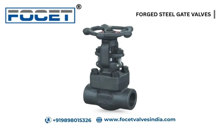 FORGED STEEL GATE VALVES image 1