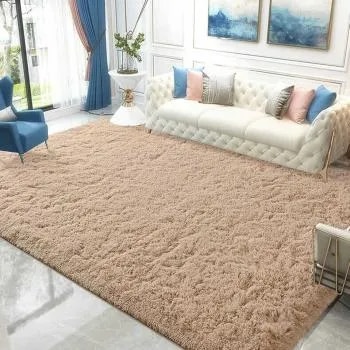 Living Room Carpet image 1