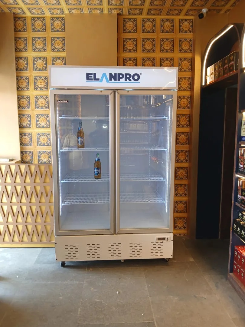 Elanpro Visi Cooler ECG775DLX (700Litter) image 1