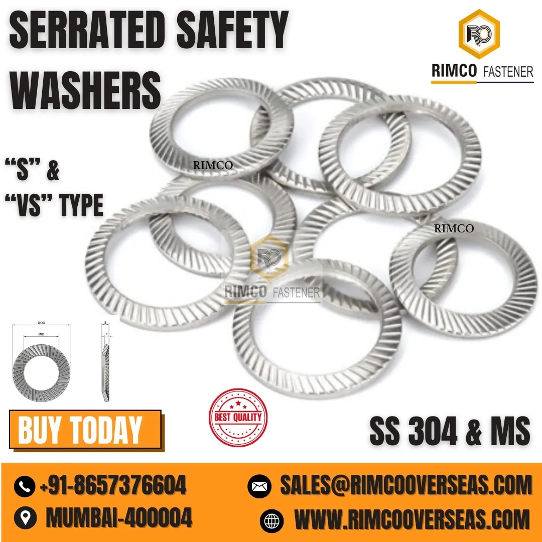 Stainless Steel Schnorr Safety Lock Washer image 1