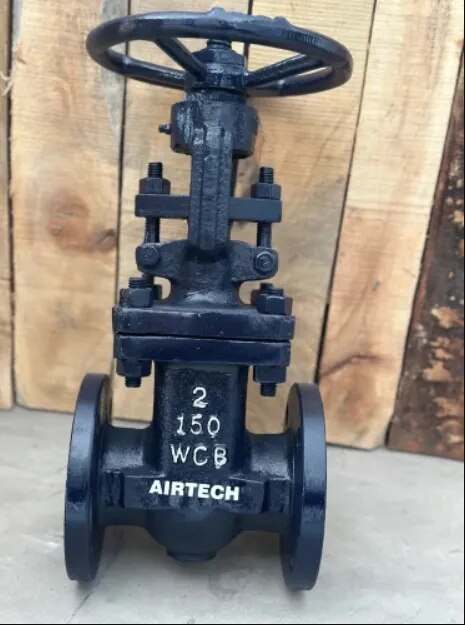 Stainless Steel Gate Valves image 1