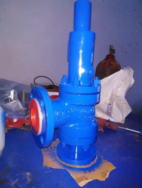 Lined Safety Relief Valve image 1
