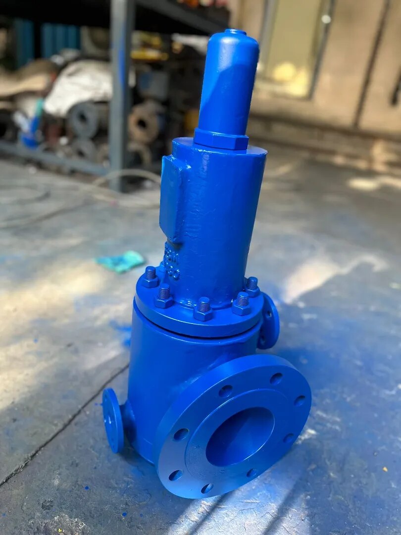 Safety Relief Valve With Jacket image 1