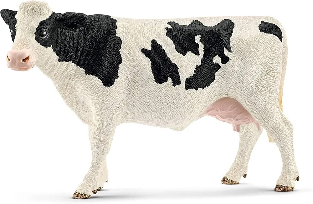 3.Americian Cow image 1