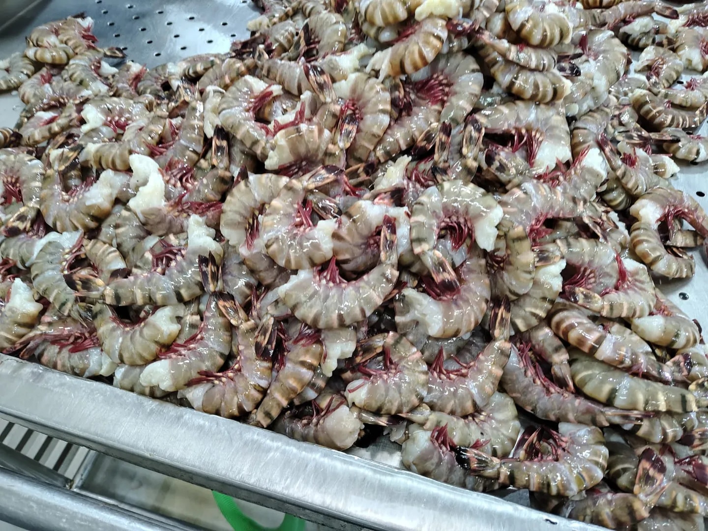 Headless Sea Tiger Shrimps image 1
