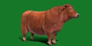 5.Santa Gertruids image 1