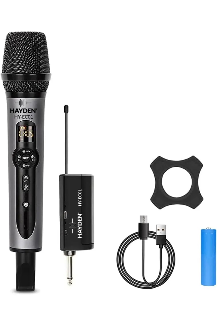 Hayden HY-EC01 Echo Wireless Microphone image 1