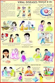 Viral Diseases (50x70cm) image 1
