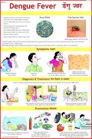 Dengue Fever (50x70cm) image 1